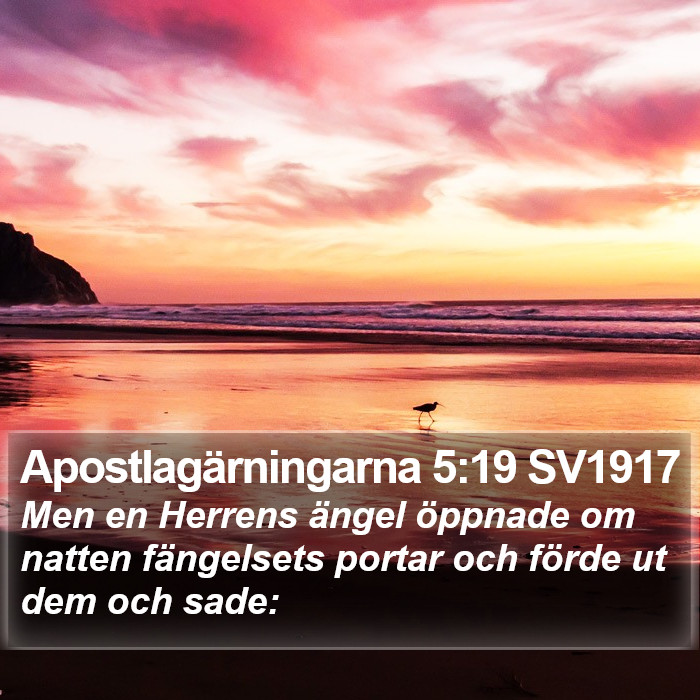 Apostlagärningarna 5:19 SV1917 Bible Study