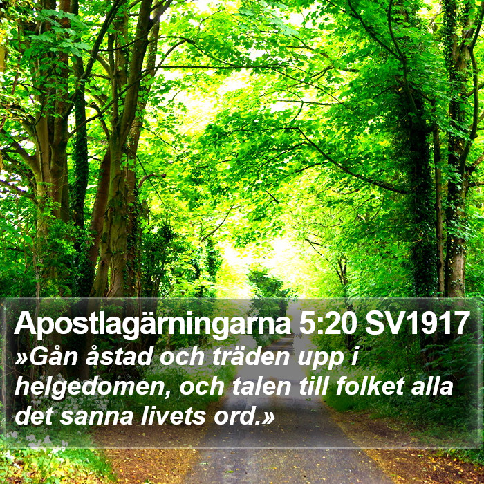 Apostlagärningarna 5:20 SV1917 Bible Study