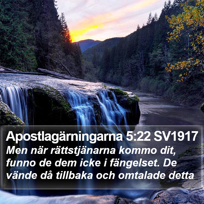 Apostlagärningarna 5:22 SV1917 Bible Study