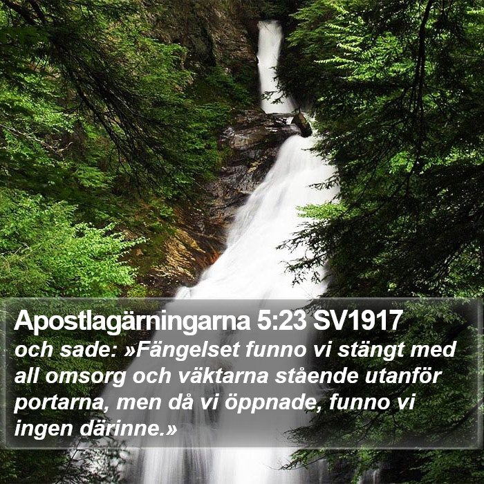 Apostlagärningarna 5:23 SV1917 Bible Study