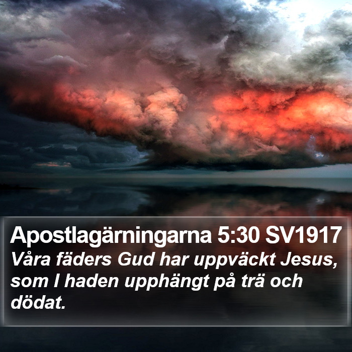 Apostlagärningarna 5:30 SV1917 Bible Study