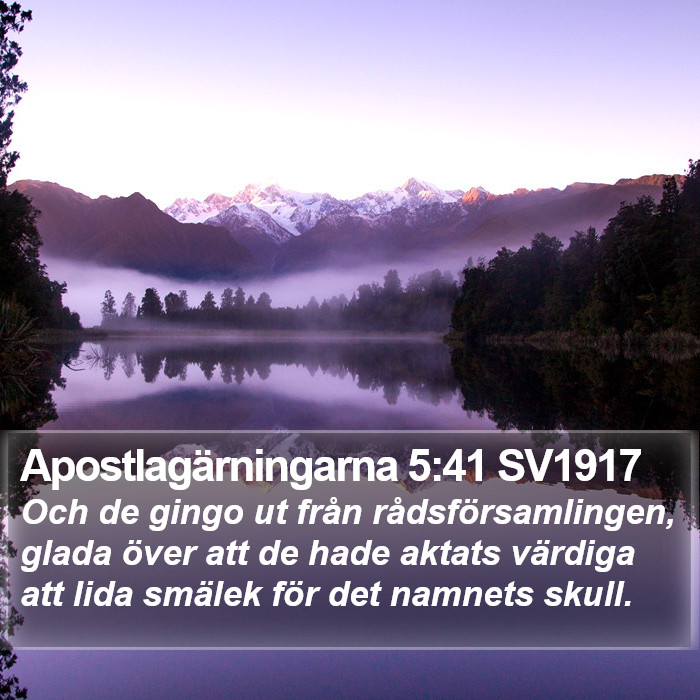 Apostlagärningarna 5:41 SV1917 Bible Study