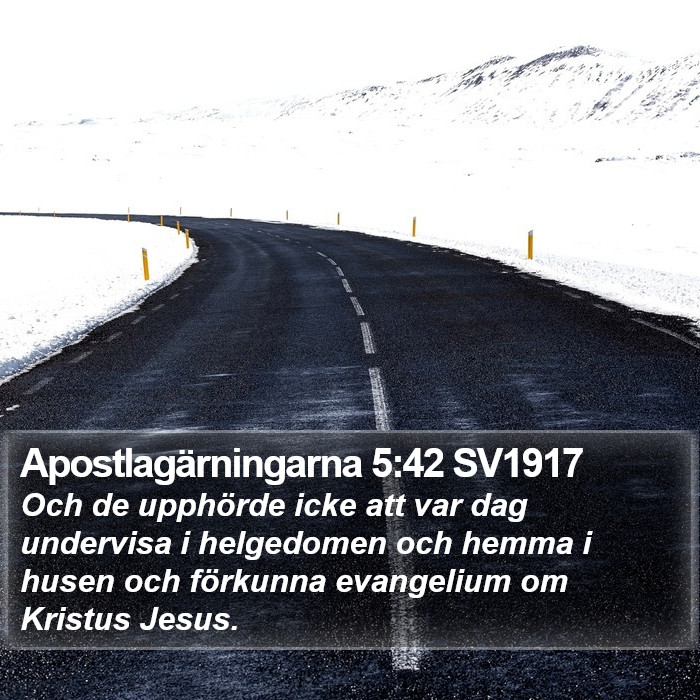 Apostlagärningarna 5:42 SV1917 Bible Study