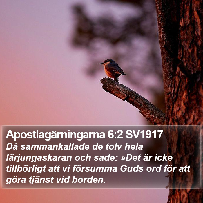 Apostlagärningarna 6:2 SV1917 Bible Study