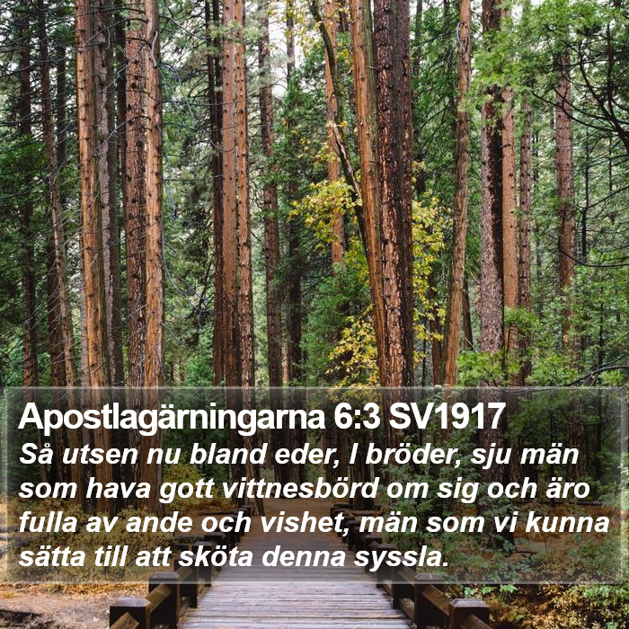 Apostlagärningarna 6:3 SV1917 Bible Study