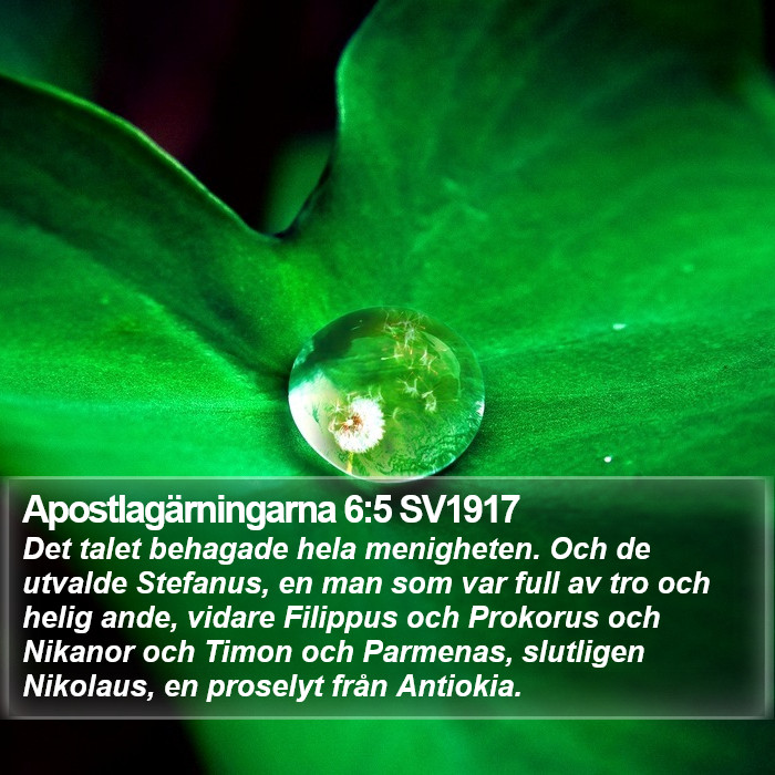 Apostlagärningarna 6:5 SV1917 Bible Study