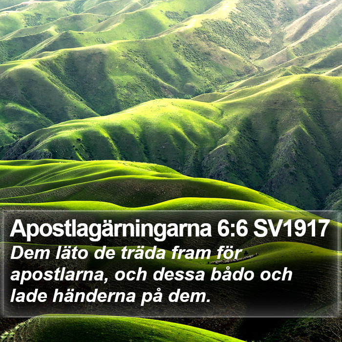 Apostlagärningarna 6:6 SV1917 Bible Study