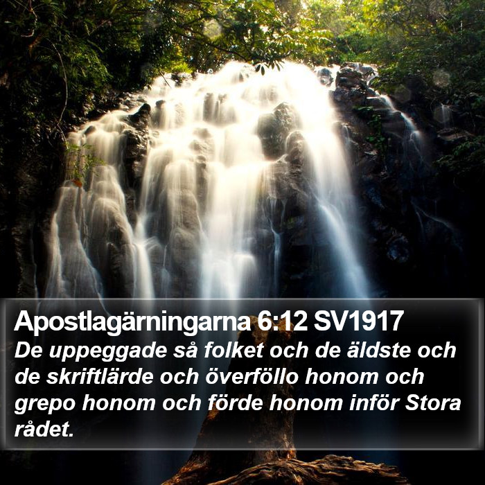 Apostlagärningarna 6:12 SV1917 Bible Study