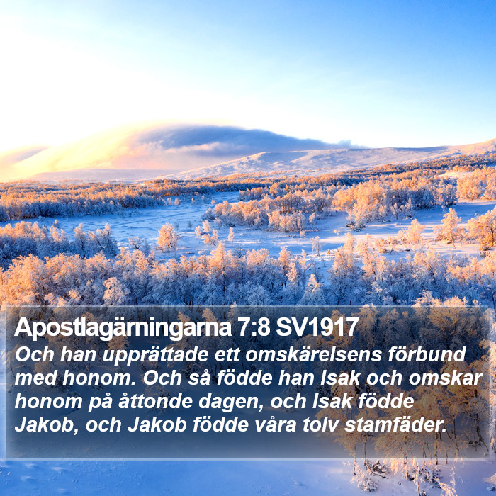 Apostlagärningarna 7:8 SV1917 Bible Study