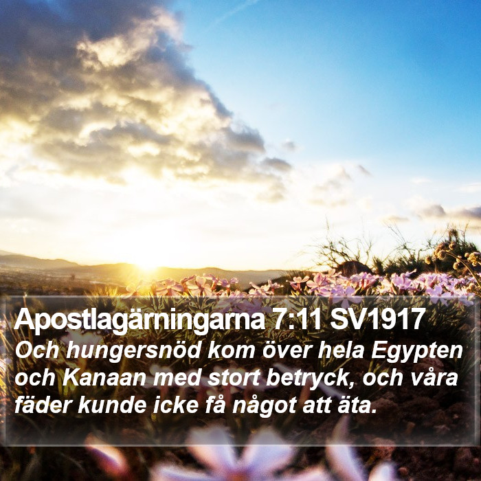 Apostlagärningarna 7:11 SV1917 Bible Study