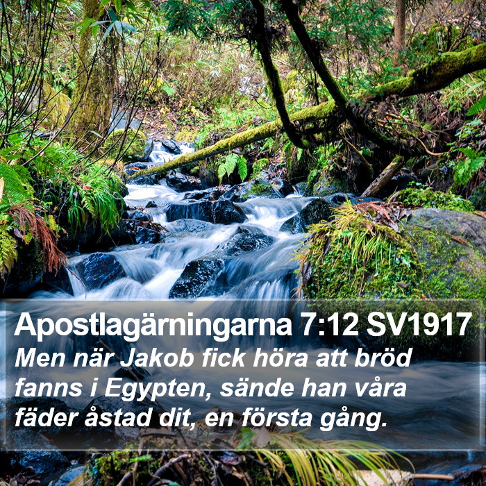 Apostlagärningarna 7:12 SV1917 Bible Study