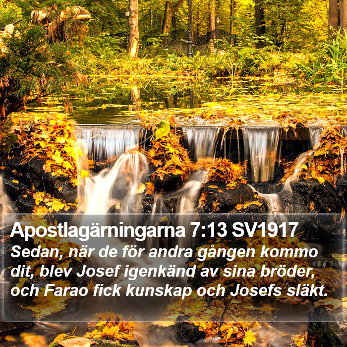 Apostlagärningarna 7:13 SV1917 Bible Study