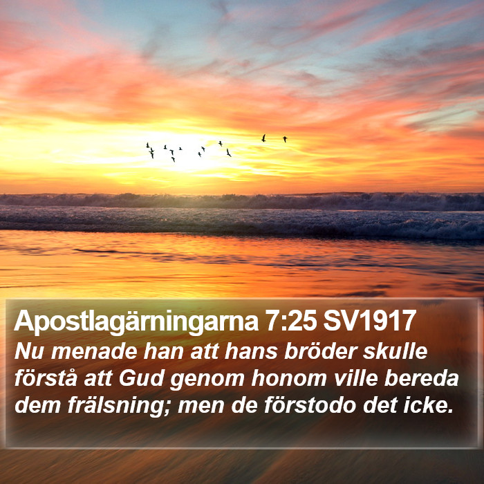 Apostlagärningarna 7:25 SV1917 Bible Study