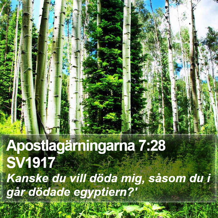 Apostlagärningarna 7:28 SV1917 Bible Study