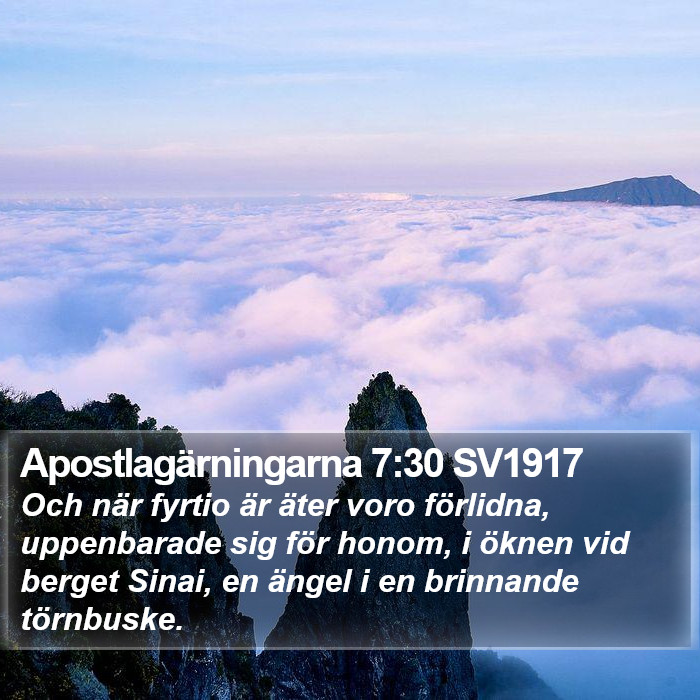 Apostlagärningarna 7:30 SV1917 Bible Study