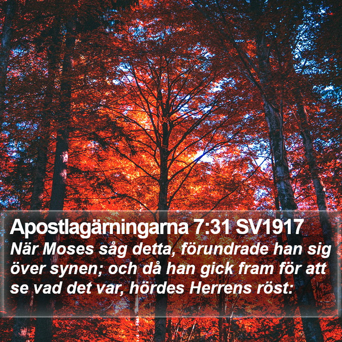 Apostlagärningarna 7:31 SV1917 Bible Study