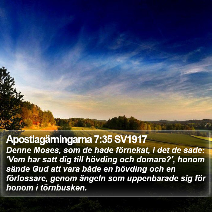 Apostlagärningarna 7:35 SV1917 Bible Study