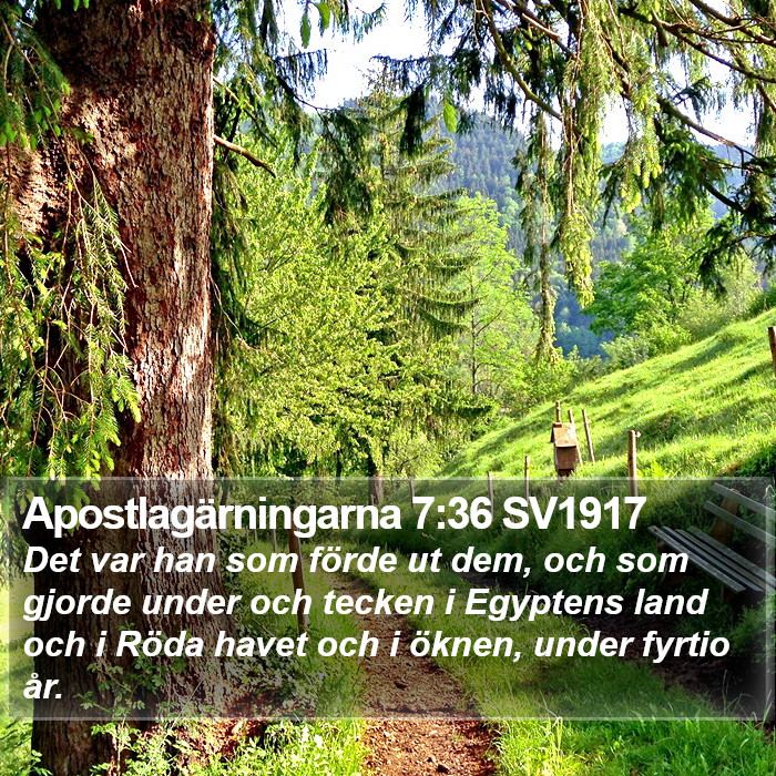 Apostlagärningarna 7:36 SV1917 Bible Study