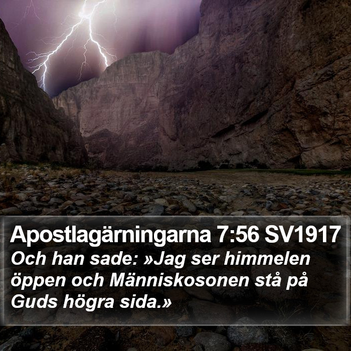 Apostlagärningarna 7:56 SV1917 Bible Study