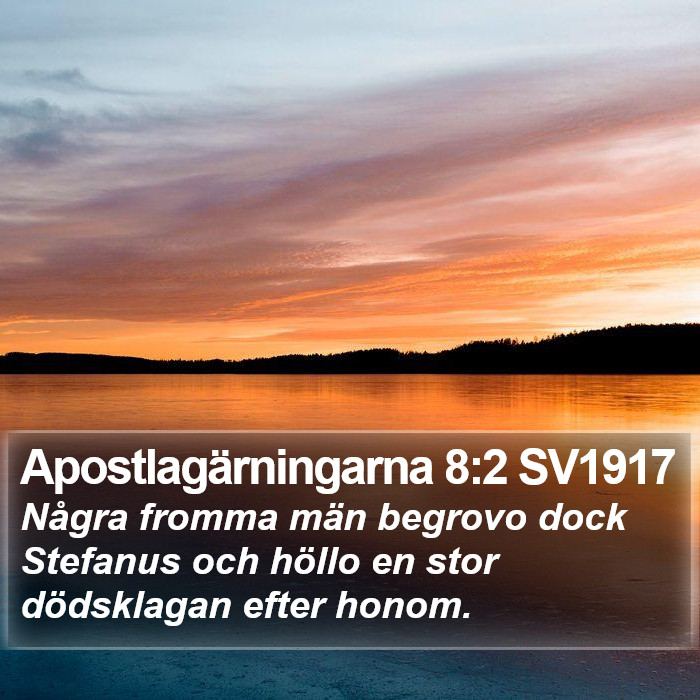Apostlagärningarna 8:2 SV1917 Bible Study