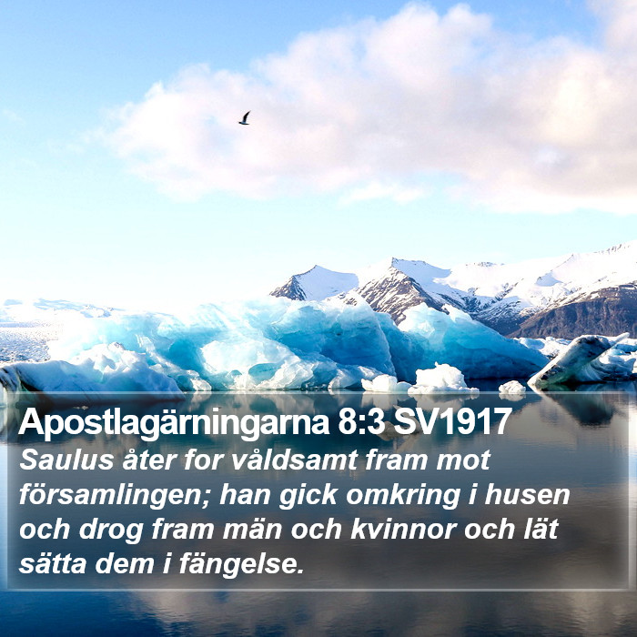 Apostlagärningarna 8:3 SV1917 Bible Study