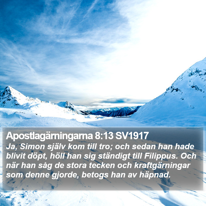 Apostlagärningarna 8:13 SV1917 Bible Study