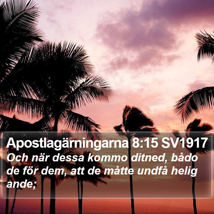 Apostlagärningarna 8:15 SV1917 Bible Study