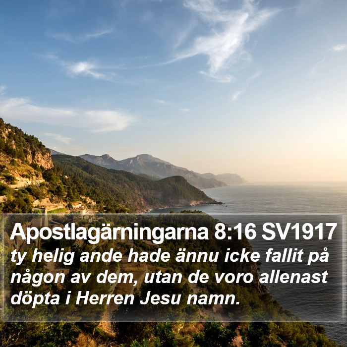 Apostlagärningarna 8:16 SV1917 Bible Study