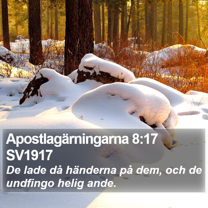 Apostlagärningarna 8:17 SV1917 Bible Study
