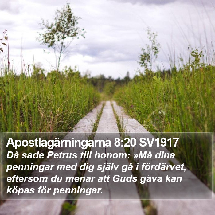 Apostlagärningarna 8:20 SV1917 Bible Study