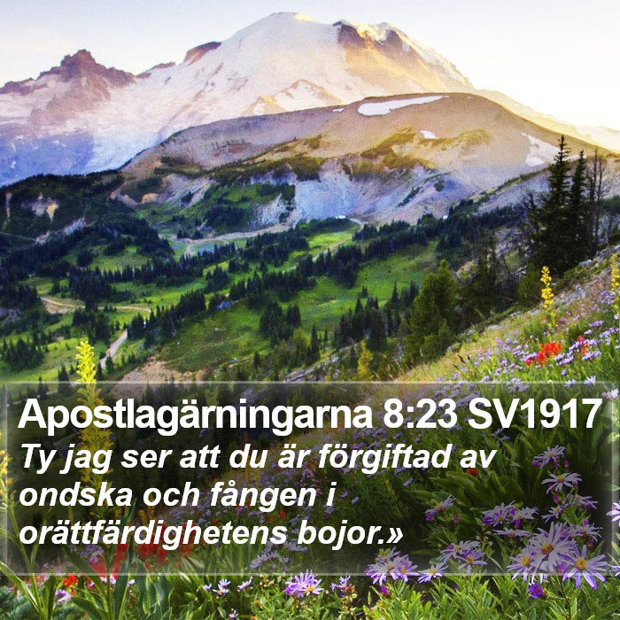 Apostlagärningarna 8:23 SV1917 Bible Study