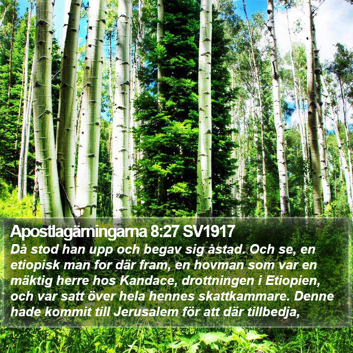 Apostlagärningarna 8:27 SV1917 Bible Study