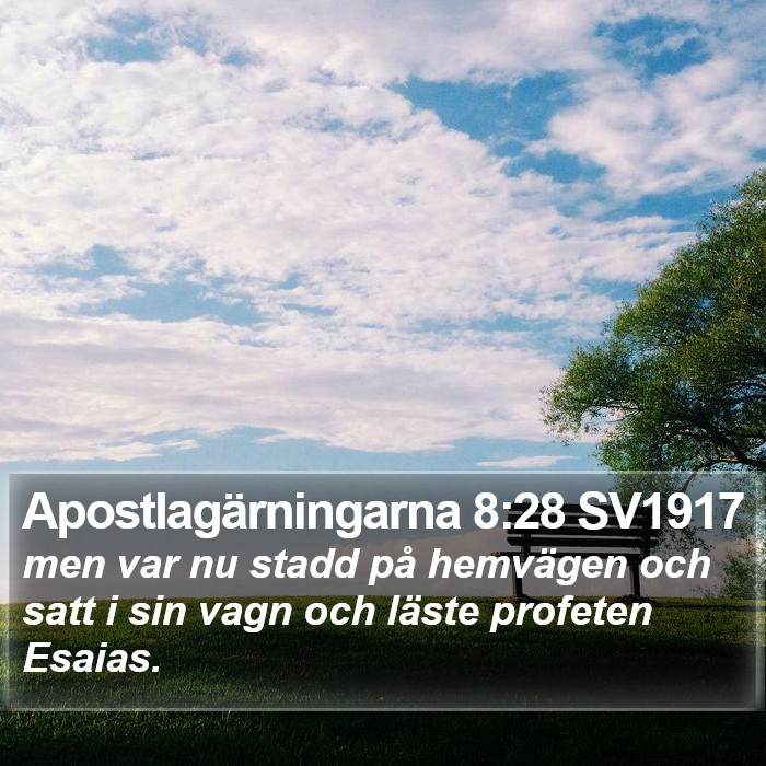 Apostlagärningarna 8:28 SV1917 Bible Study
