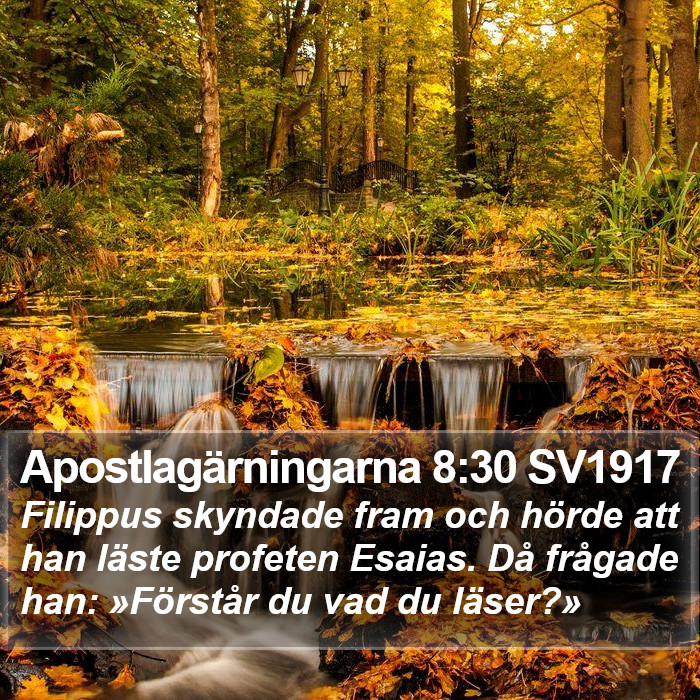 Apostlagärningarna 8:30 SV1917 Bible Study
