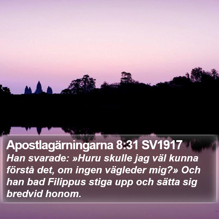 Apostlagärningarna 8:31 SV1917 Bible Study