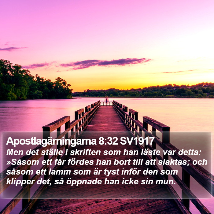 Apostlagärningarna 8:32 SV1917 Bible Study