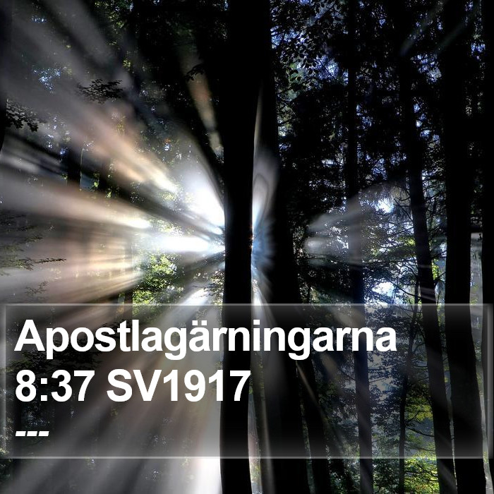 Apostlagärningarna 8:37 SV1917 Bible Study