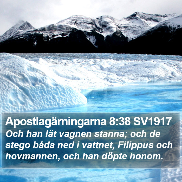 Apostlagärningarna 8:38 SV1917 Bible Study