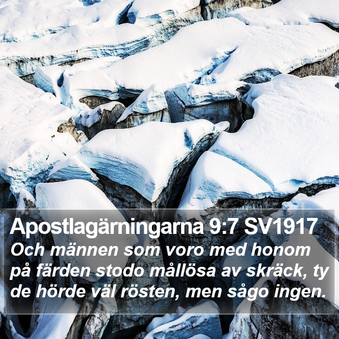 Apostlagärningarna 9:7 SV1917 Bible Study