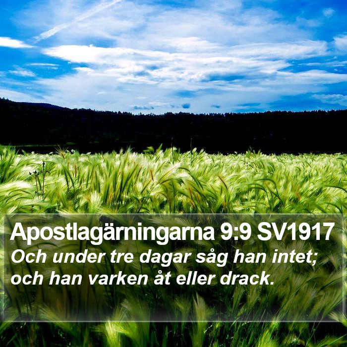 Apostlagärningarna 9:9 SV1917 Bible Study