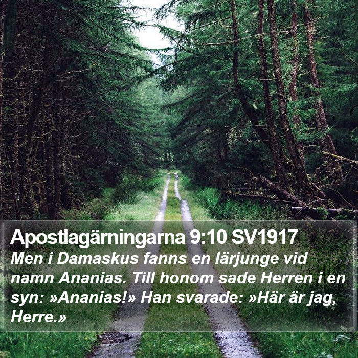 Apostlagärningarna 9:10 SV1917 Bible Study