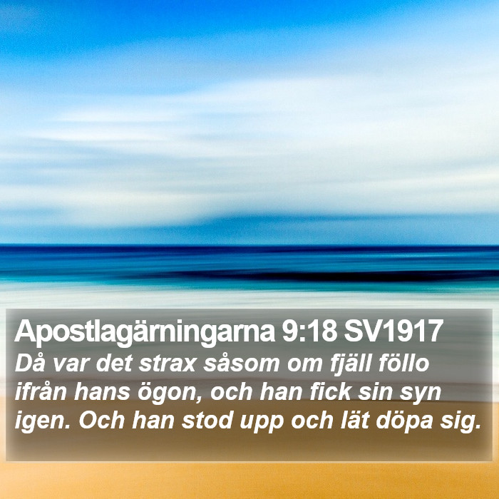 Apostlagärningarna 9:18 SV1917 Bible Study