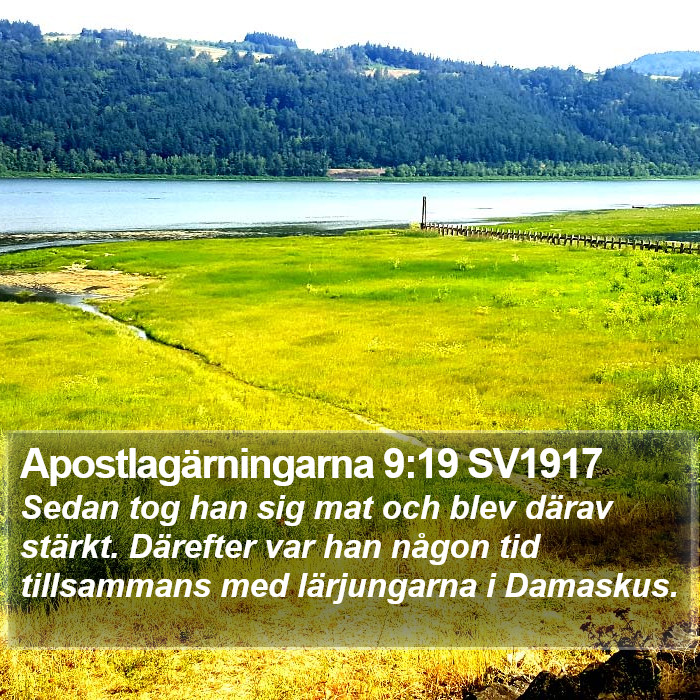 Apostlagärningarna 9:19 SV1917 Bible Study