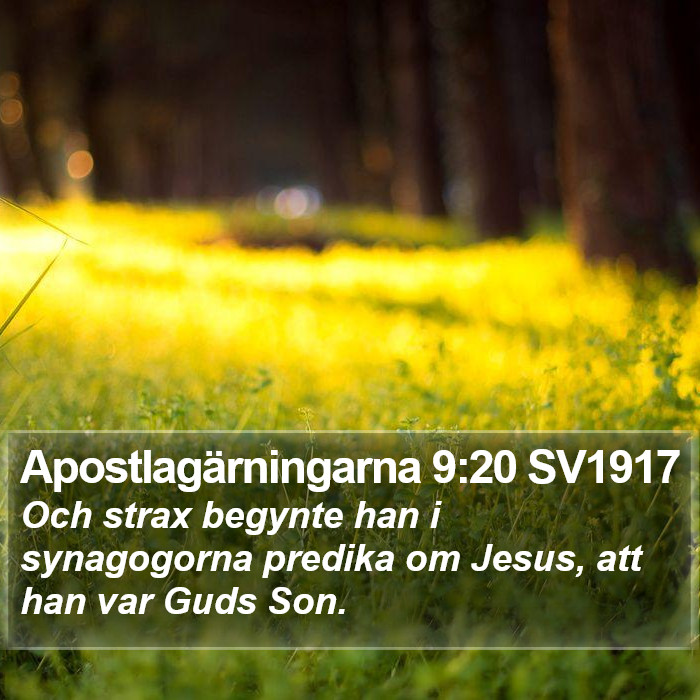 Apostlagärningarna 9:20 SV1917 Bible Study