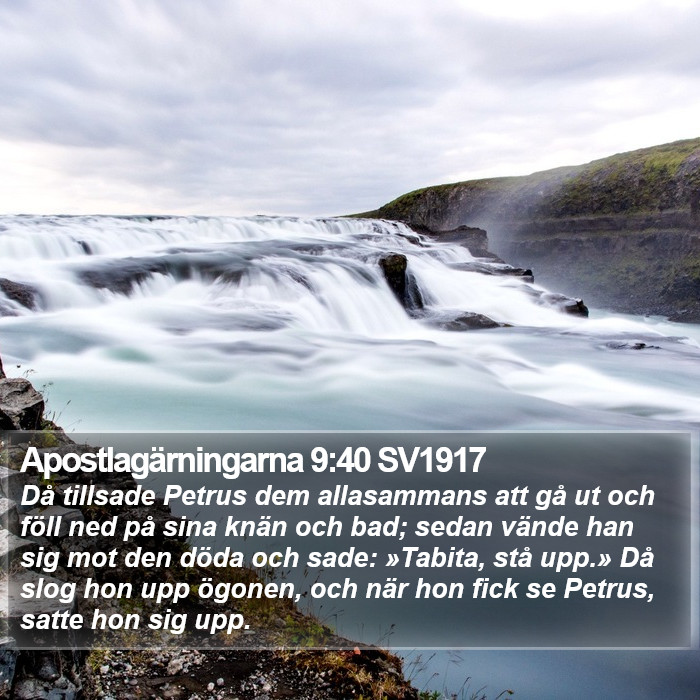 Apostlagärningarna 9:40 SV1917 Bible Study