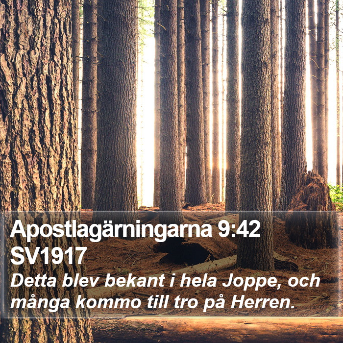 Apostlagärningarna 9:42 SV1917 Bible Study