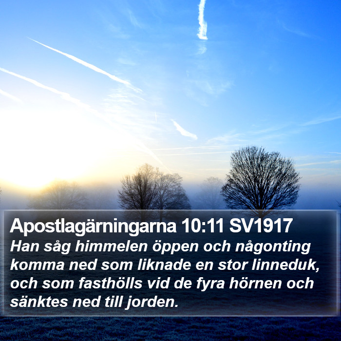 Apostlagärningarna 10:11 SV1917 Bible Study