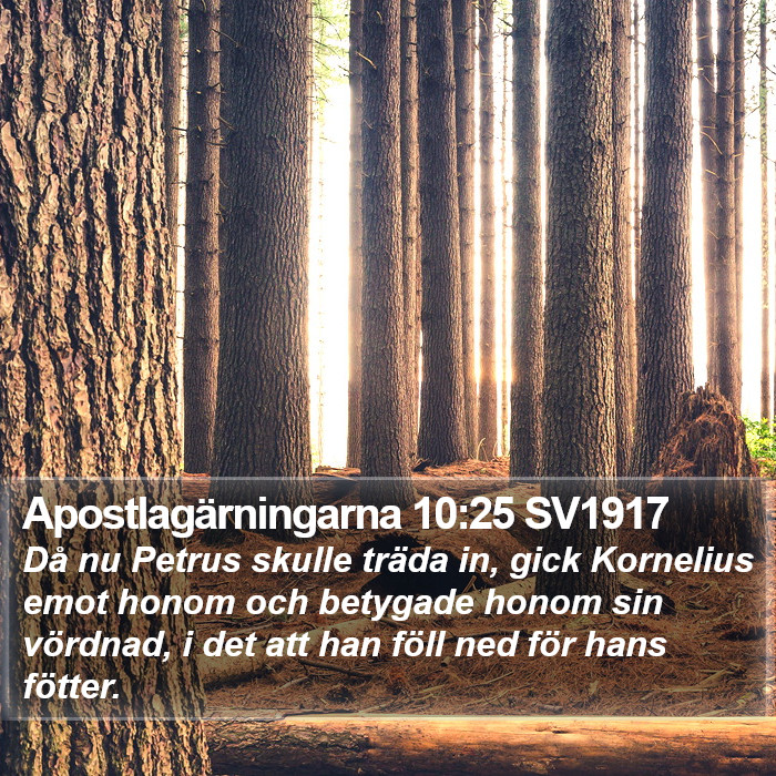 Apostlagärningarna 10:25 SV1917 Bible Study