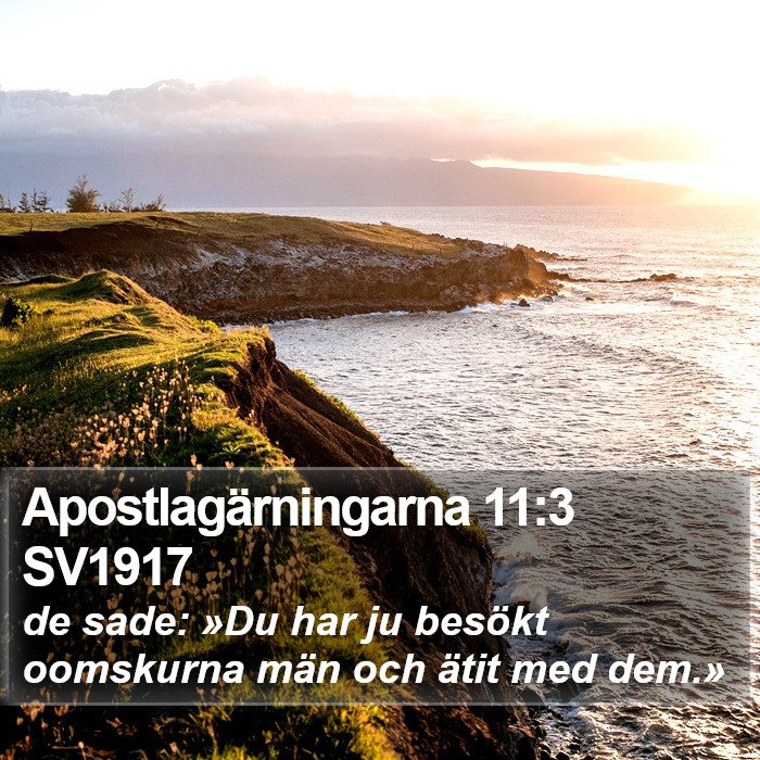 Apostlagärningarna 11:3 SV1917 Bible Study