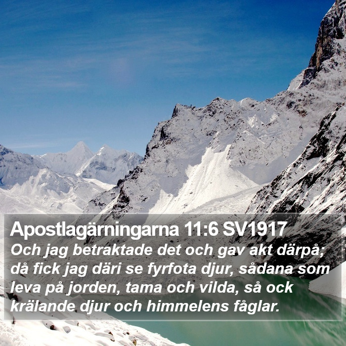 Apostlagärningarna 11:6 SV1917 Bible Study